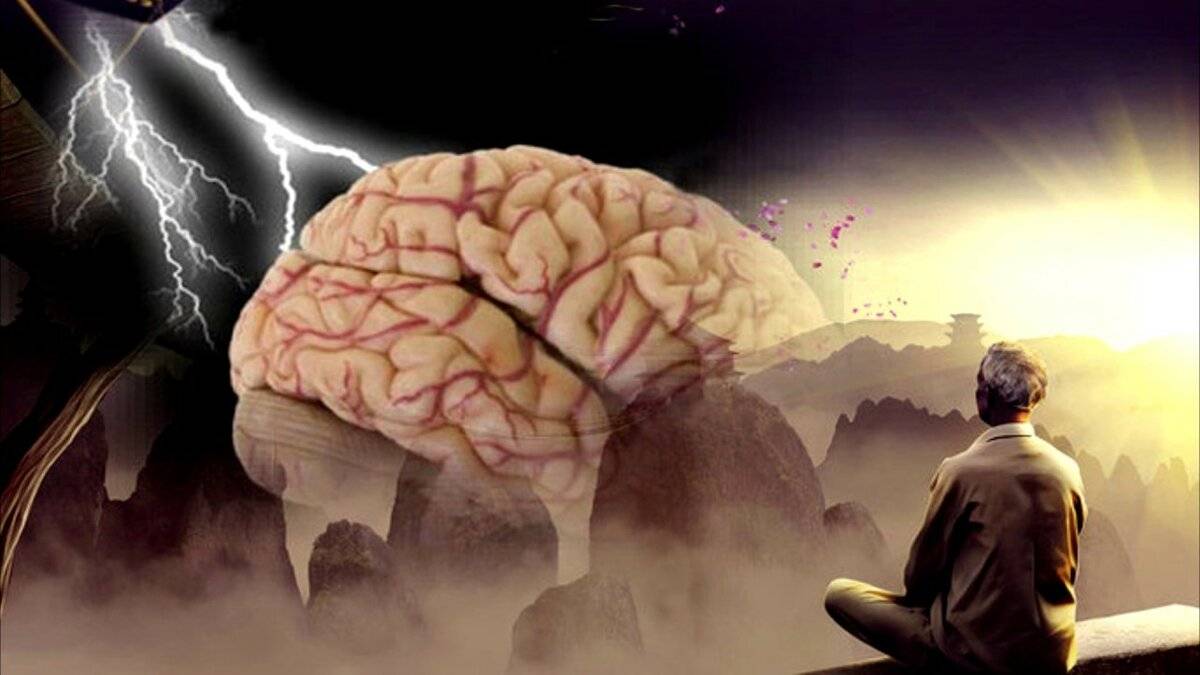 Как работает мозг в критических ситуациях / неврология | психология, философия и размышления о жизни.