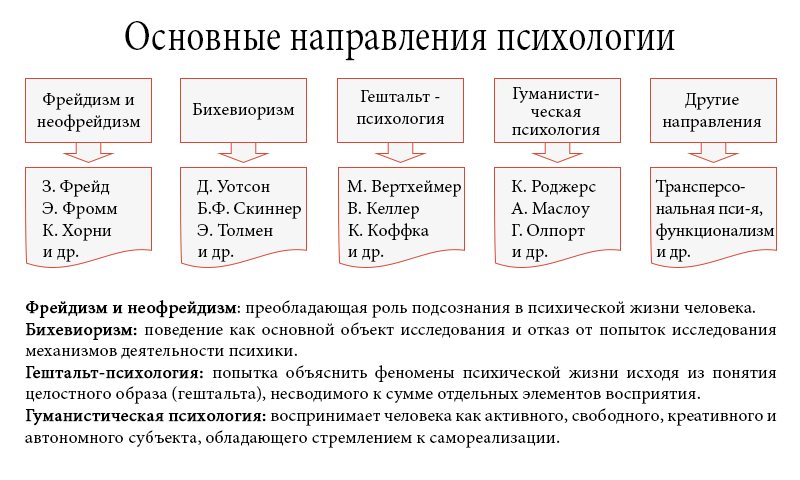 Какие направления в психологии наиболее популярны? - блог викиум