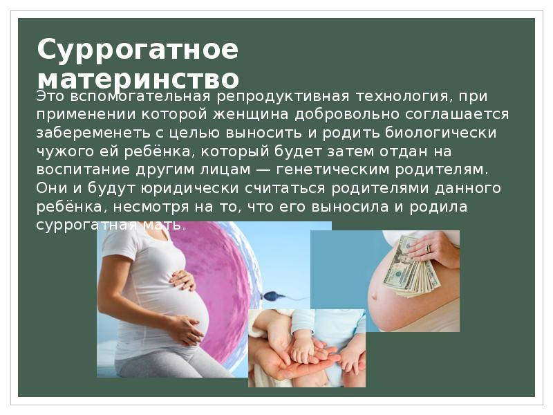 Суррогатное материнство поддержат законами - парламентская газета