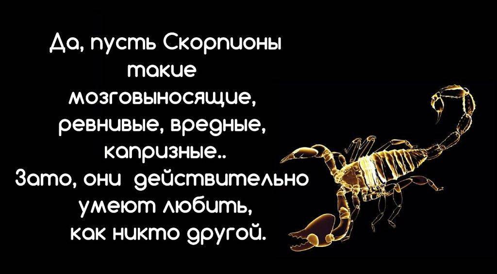 Как завоевать мужчину-скорпиона: действенные советы для женщин разных знаков