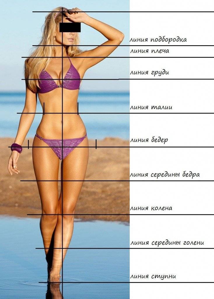 Идеальная фигура: идеальное тело, упражнения, параметры