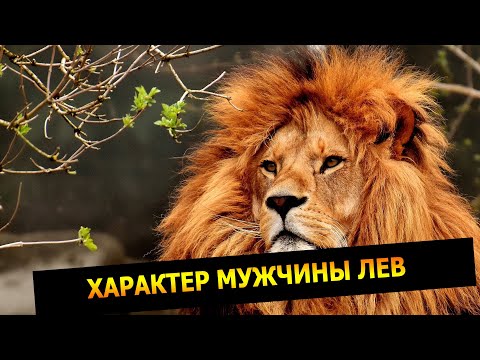 Какие признаки указывают на то, что мужчина — лев влюблён
