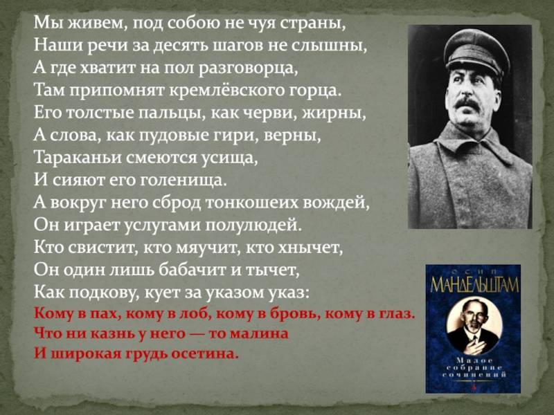 Иосиф сталин: биография, личная жизнь, жена и дети (фото)