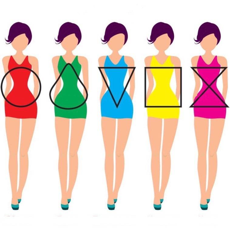 Идеальные пропорции женского тела