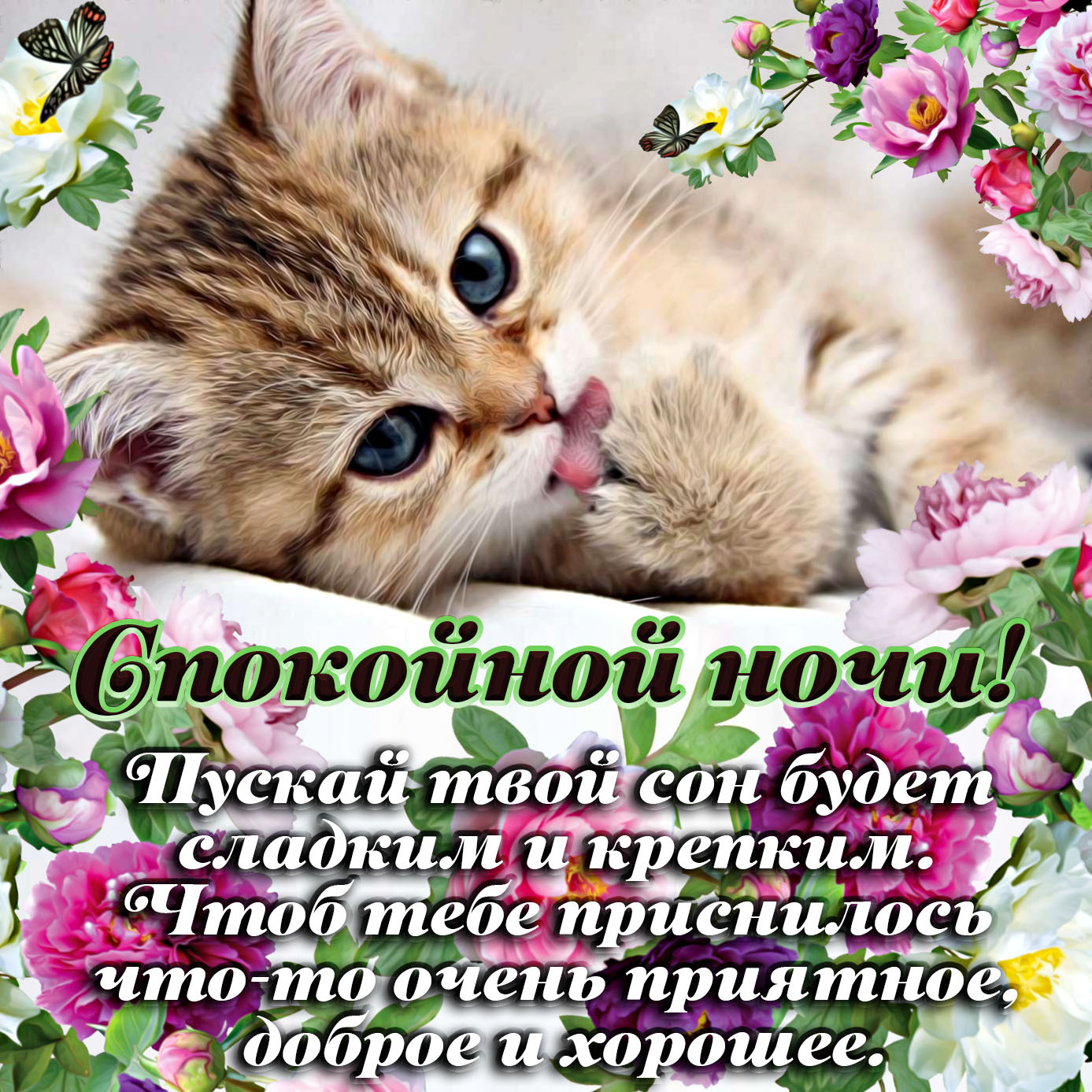 Пожелания спокойной ночи в прозе