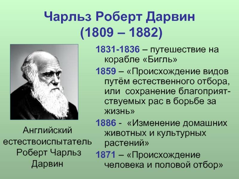Теория эволюции дарвина. 7 мифов о дарвине, его теории и вере. | наука для всех простыми словами