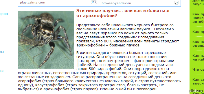 Арахнофобия: Что Это? (Почему Люди Боятся Пауков)