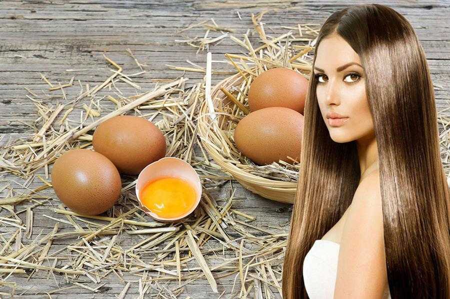 Яичный желток: калорийность, польза и вред | food and health