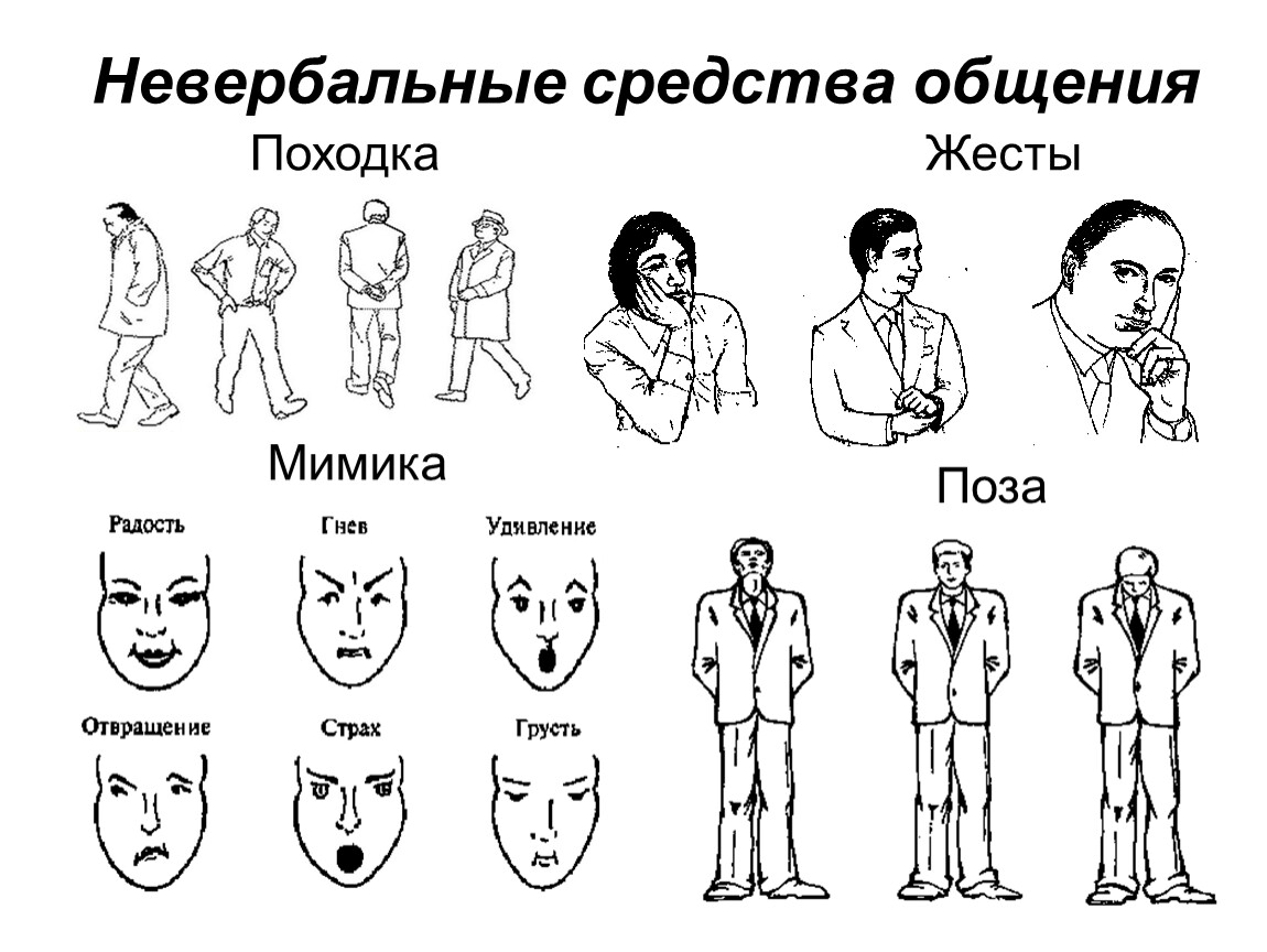 Язык телодвижений. как читать мысли окружающих по их жестам скачать epub, fb2, pdf, txt книгу аллан и барбара пиз, читать онлайн