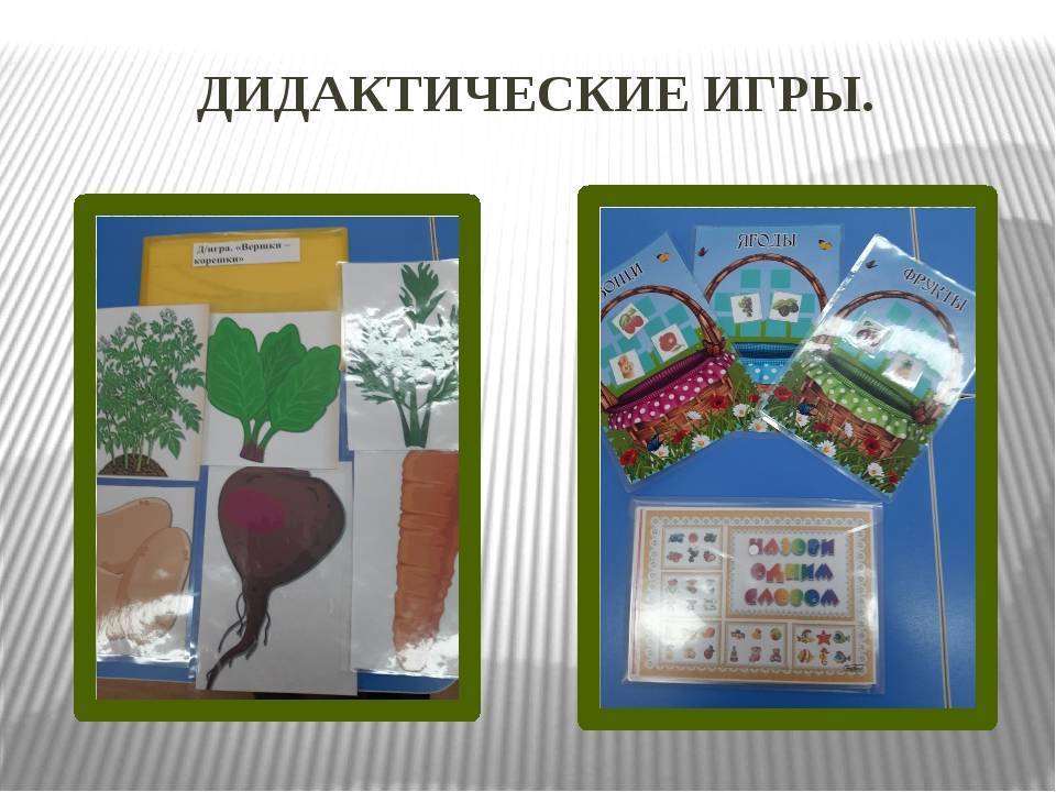 Дидактические игры по экологии своими руками