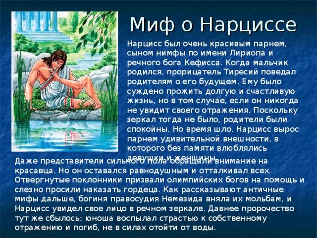 Жизнь с нарциссом: особенности, интересные факты и рекомендации - psychbook.ru
