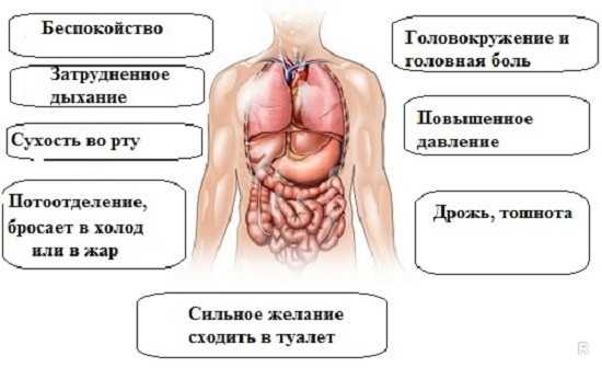 Клаустрофобия: как распознать и как бороться / skillbox media