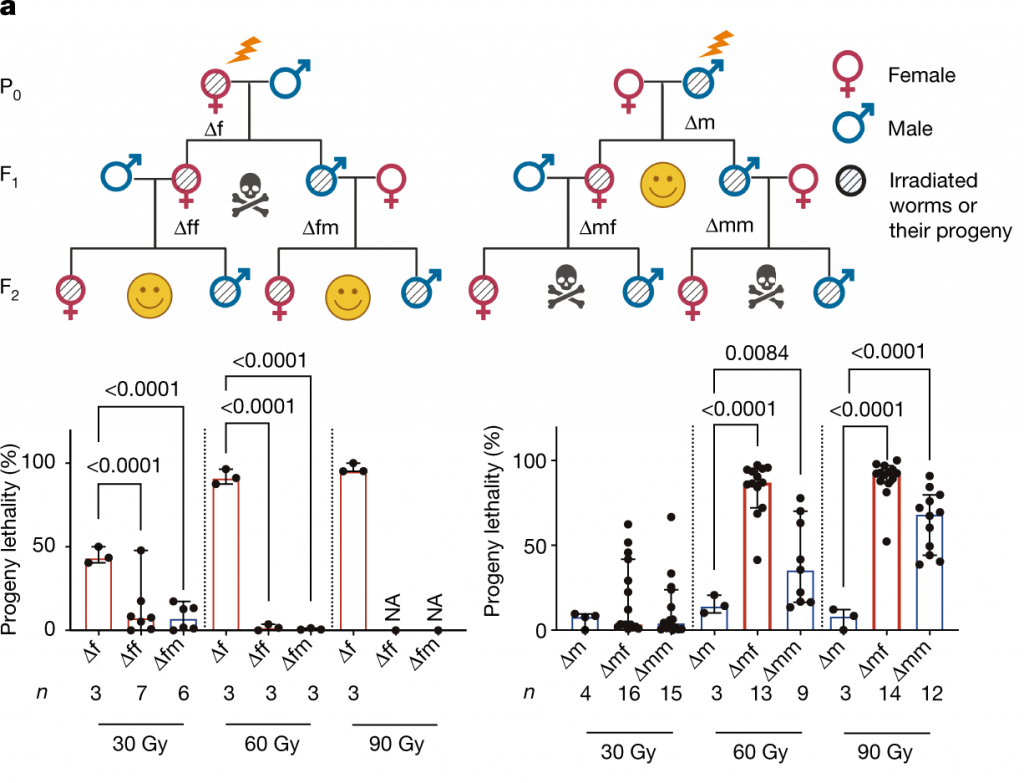 Эмотивный психотип и особенности его взаимоотношения с другими психотипами - психотипы