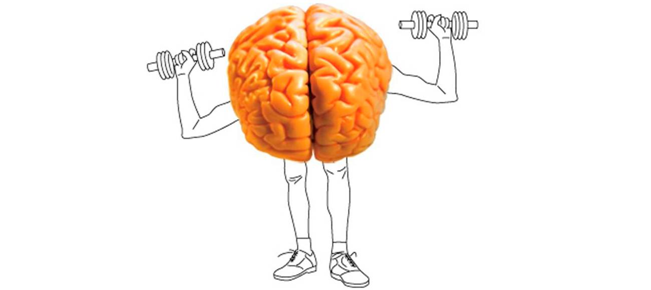 Нейропластичность и нейробика: упражнения для мозга (часть i)