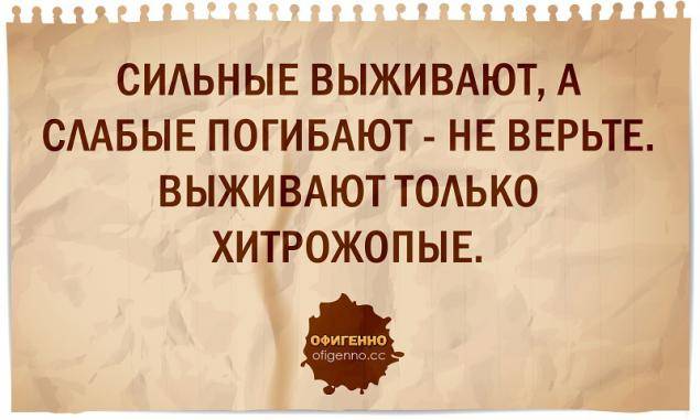 Как мы выжили. Выживают сильнейшие цитаты. Цитаты про выживание. Выживают только сильные. Выживают только хитрожопые.