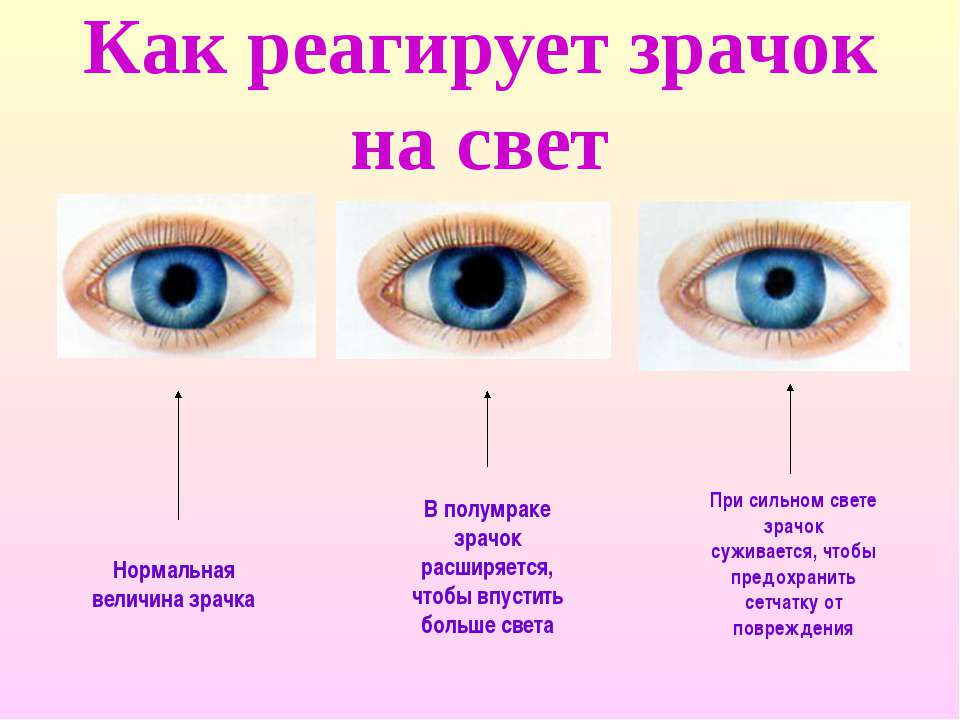 Признаки опьянения от разных групп наркотических средств – центр здоровой молодёжи