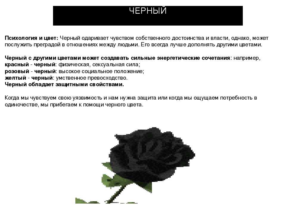 Любовь к чёрному в одежде: что это означает в психологии? что значит чёрный цвет в одежде?
