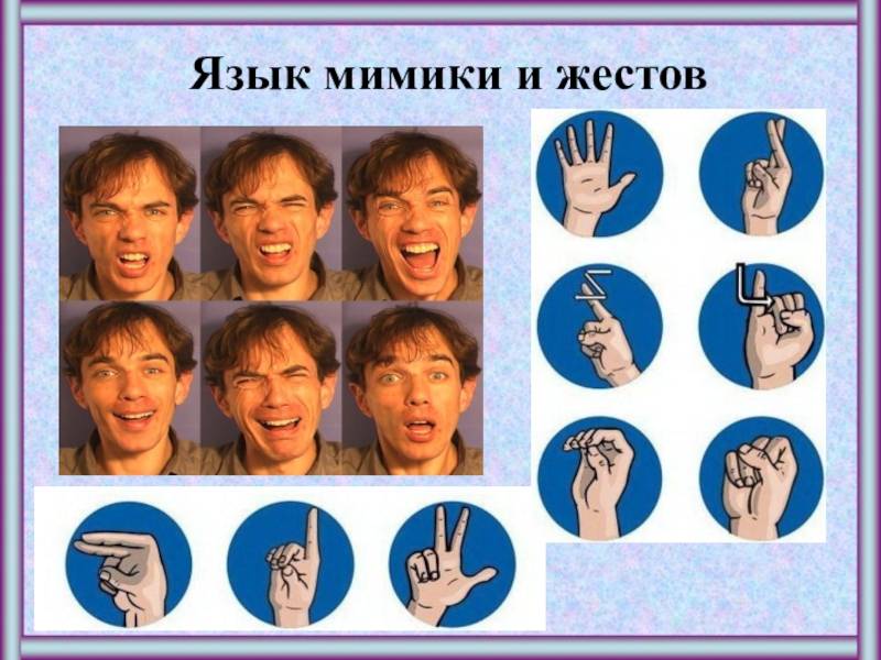 Язык тела и жестов: психология человека по поведению и мимике