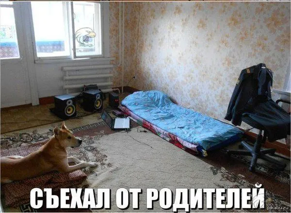 Самостоятельные люди. почему студенту стоит жить отдельно от родителей и где взять на это деньги