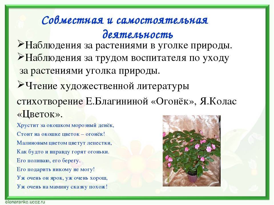 Конспект занятия по окружающему
миру в средней группе.
тема: «мир комнатных растений»   | конспекты занятий, оод  | воспитатель детского сада / всероссийский журнал