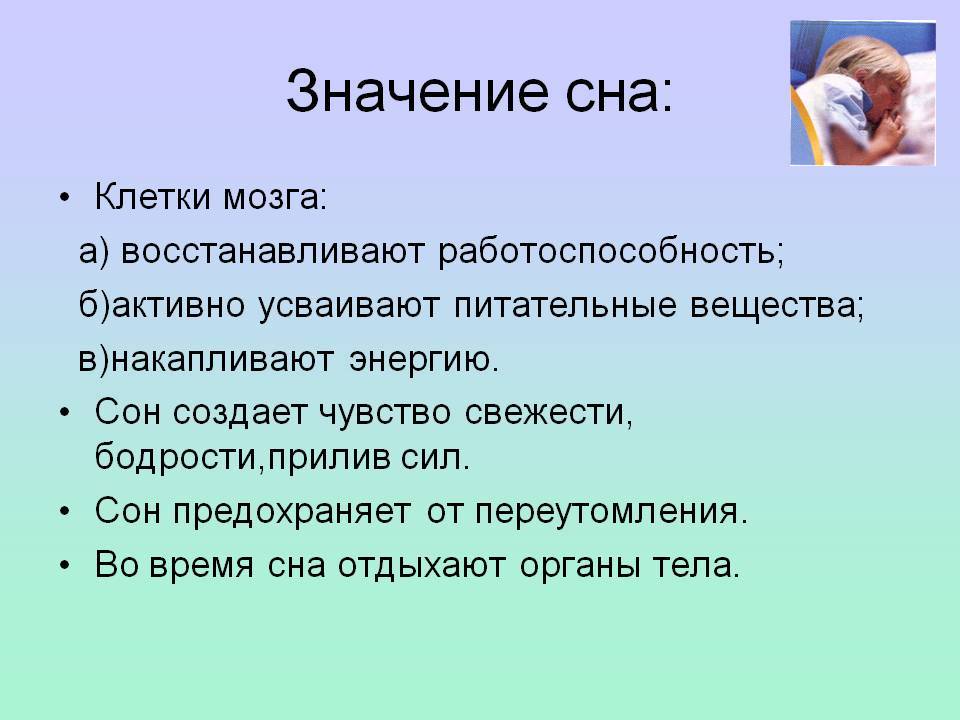 Зачем нужен сон? физиология: структура и функции сна | buzunov.ru