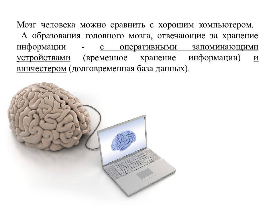 Человеческий мозг и компьютер. Мозг компьютера. Сравнение компьютера и мозга. Компьютер и человеческий мозг. Память человека и компьютера.