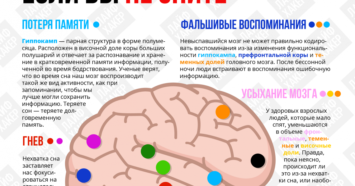 Как улучшить продуктивность мозга | блог 4brain