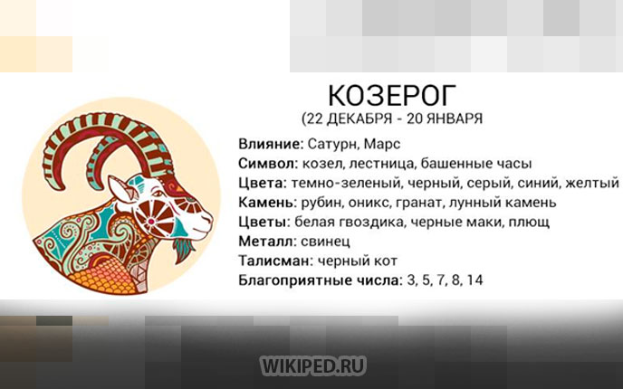 Козерог лошадь мужчина - психология отношений
