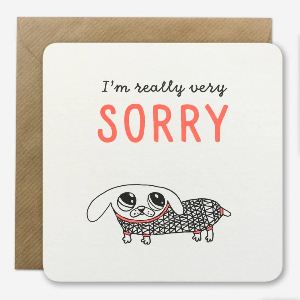 Apology letters — письма-извинения на английском языке