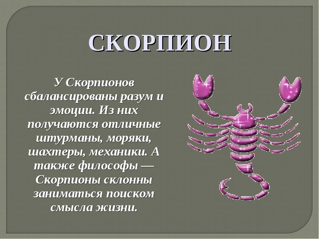 Скорпион женщина - какая она на самом деле: характеристика знака