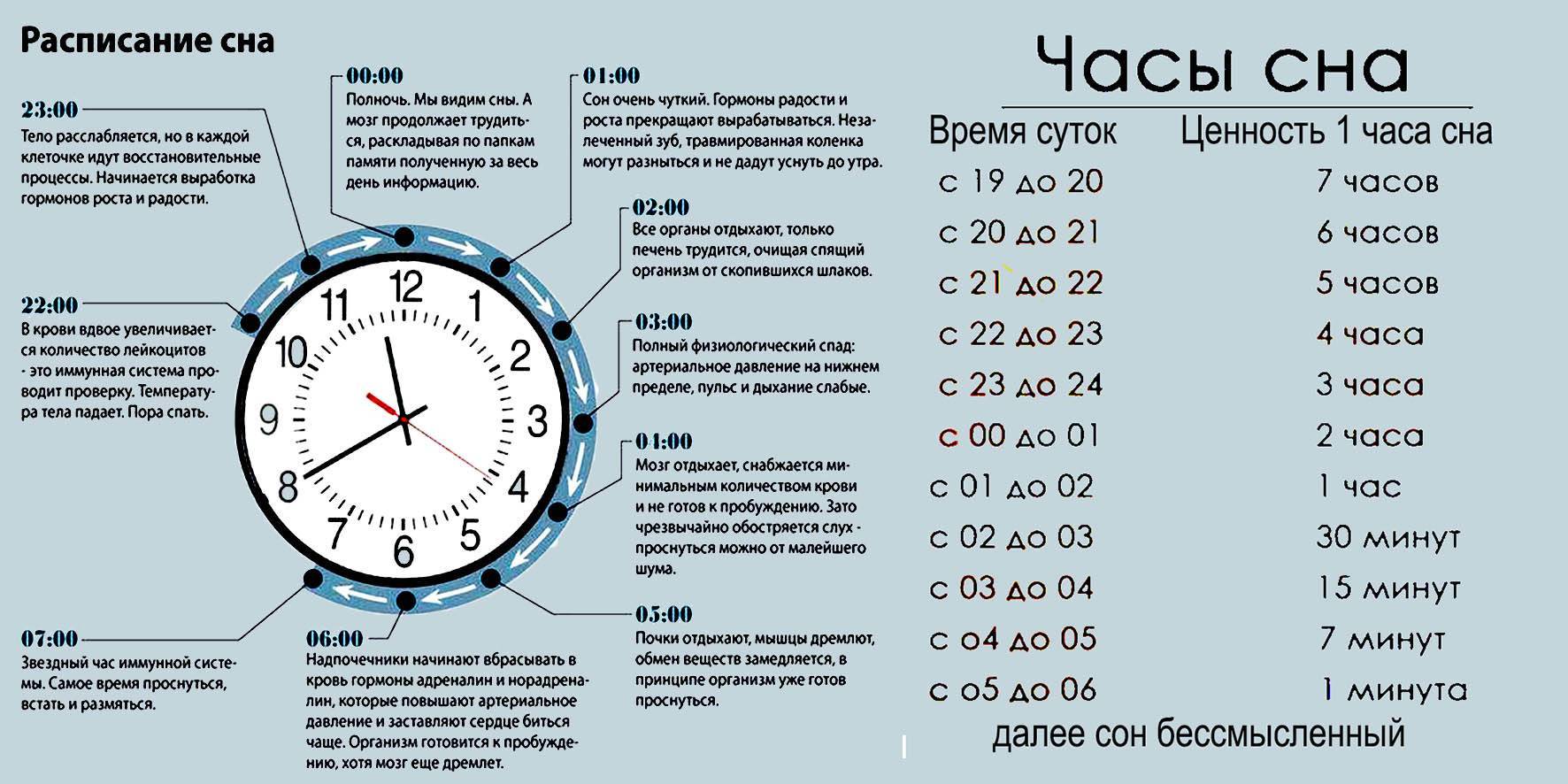 Сколько нужно спать, чтобы выспаться? 5 важных вопросов о здоровом сне | informburo.kz | informburo.kz