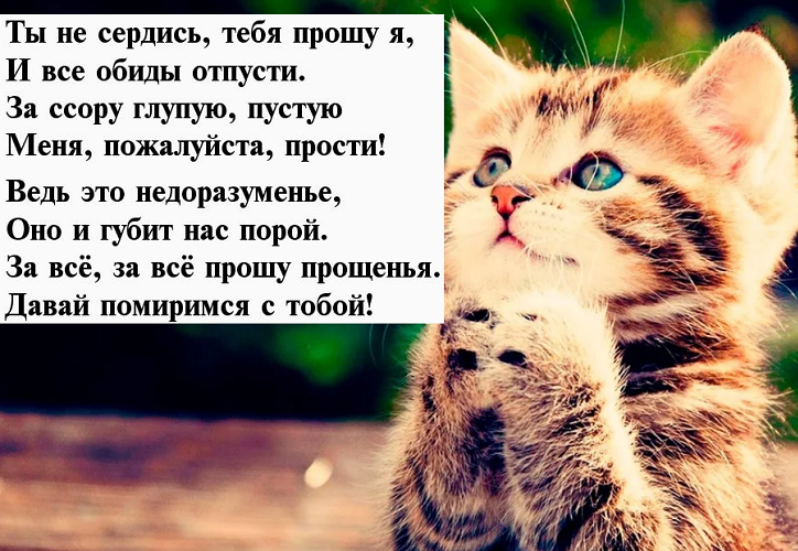 Как правильно попросить прощения, если сильно виноват: примеры - psychbook.ru