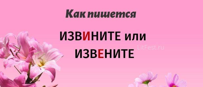 Извините - как пишется правильно: примеры, правило :: дети :: клео.ру