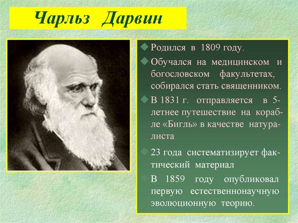 Чарльз Дарвин. На вершине эволюции