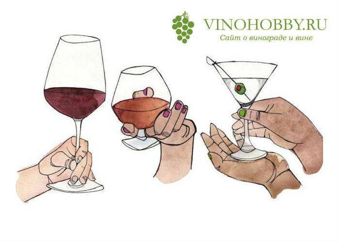 Как сервировать вина