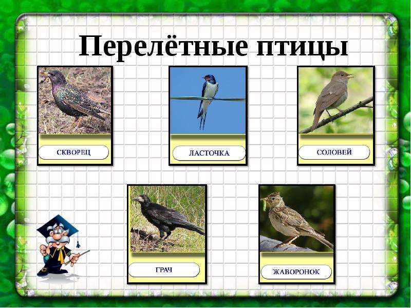 План-конспект занятия по окружающему миру (подготовительная группа) на тему: конспект нод по ознакомлению с окружающим миром в подготовительной группе «интересные, удивительные предметы. природа и рукотворный мир: дидактическая игра для детей