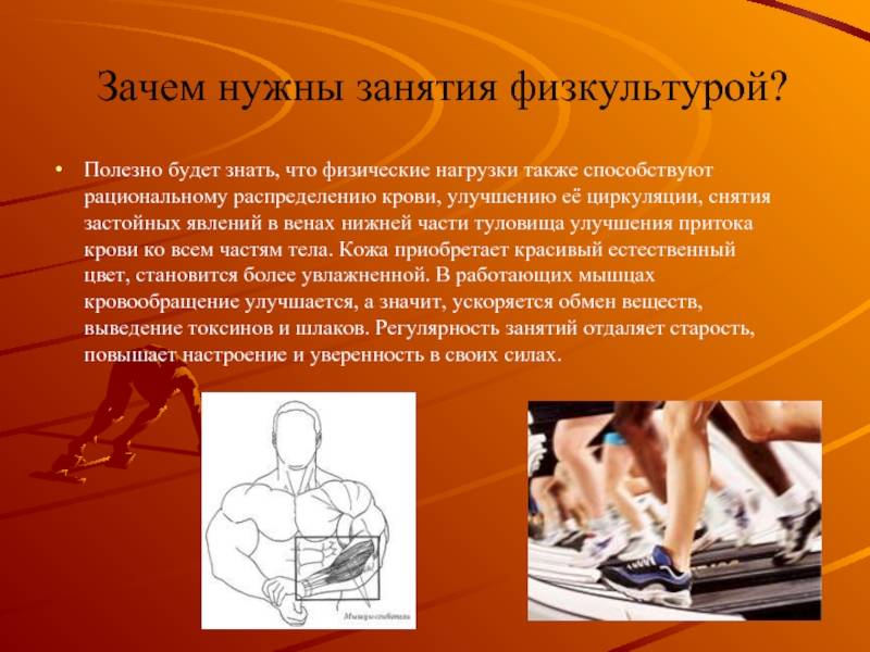 Почему необходимо регулярно. Зачем нужны занятия физкультурой. Физическая нагрузка это в физкультуре. Упражнения физ нагрузки. Доклад о пользе физкультуры.