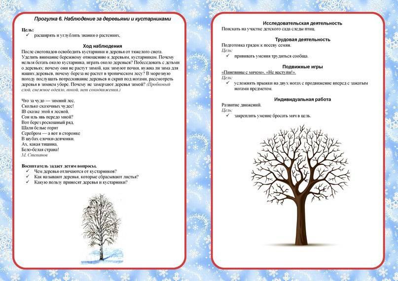 Картотека прогулок для подготовительной группы детского сада