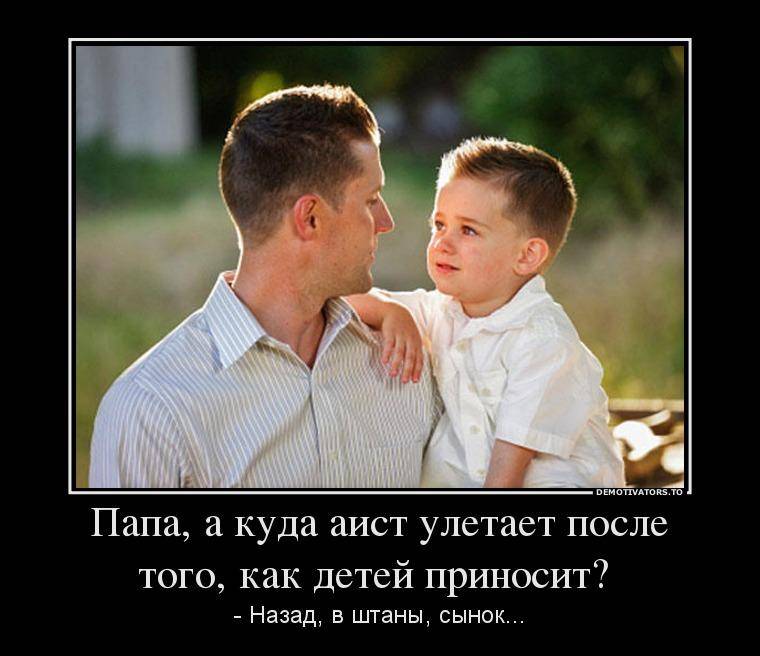 Сочинение на тему «мой папа»