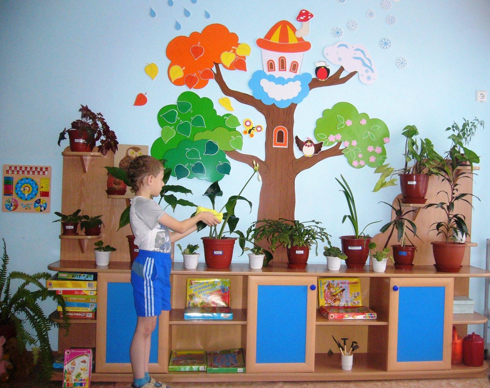 Уголок природы в детском саду: анализ, содержание и оформление своими руками