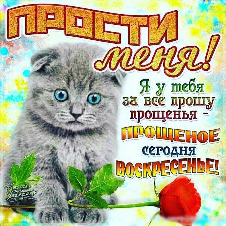 Прошу прощения или прощение как правильно выбрать