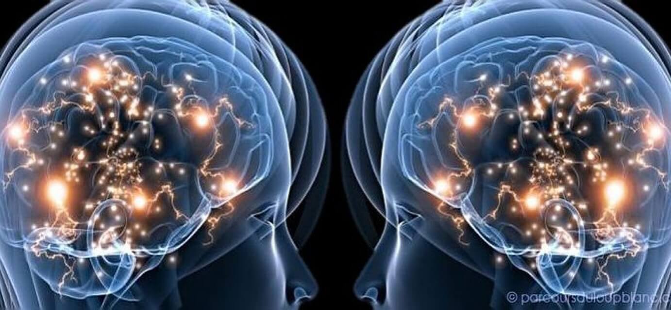 Зеркальные нейроны головного мозга: определение, функции, влияние на формирование личности человека :: syl.ru