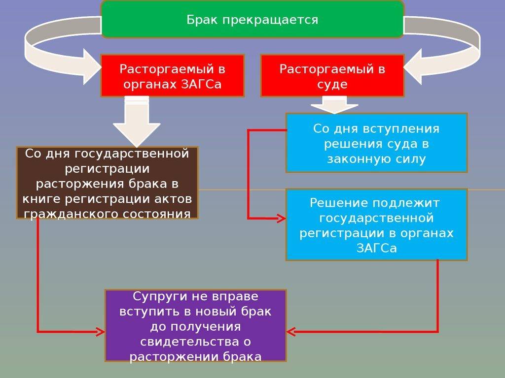 Развод с разделом имущества: инструкция для новичков