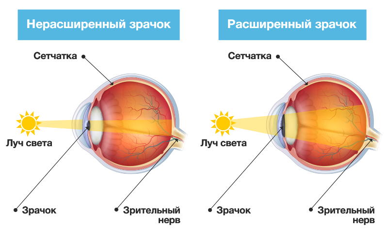 Расширенные зрачки - не самый надежный сигнал. признаки симпатии на языке тела