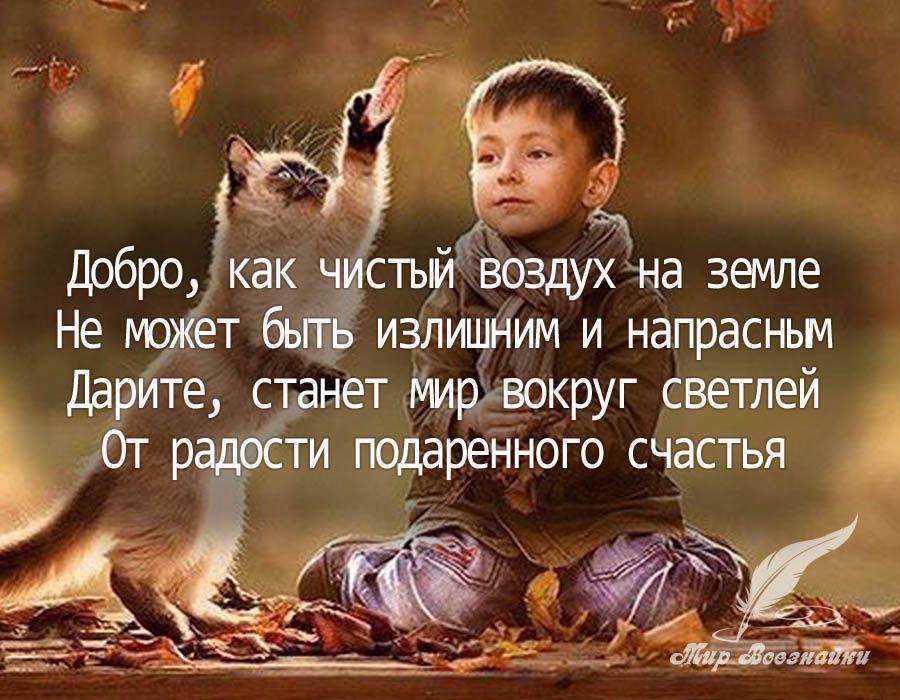 Сочинение на тему «мои добрые дела»: хорошие поступки человека - tarologiay.ru